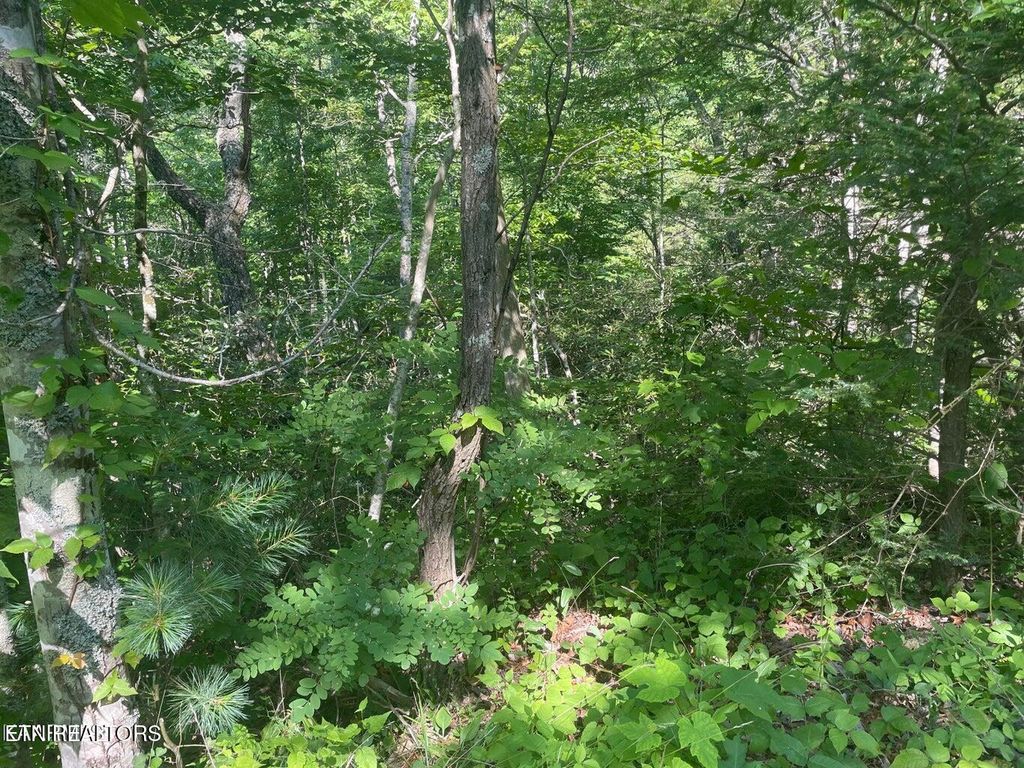 Photo of 69 Sycamore St, Sevierville, TN 37876 (MLS # 1285908)