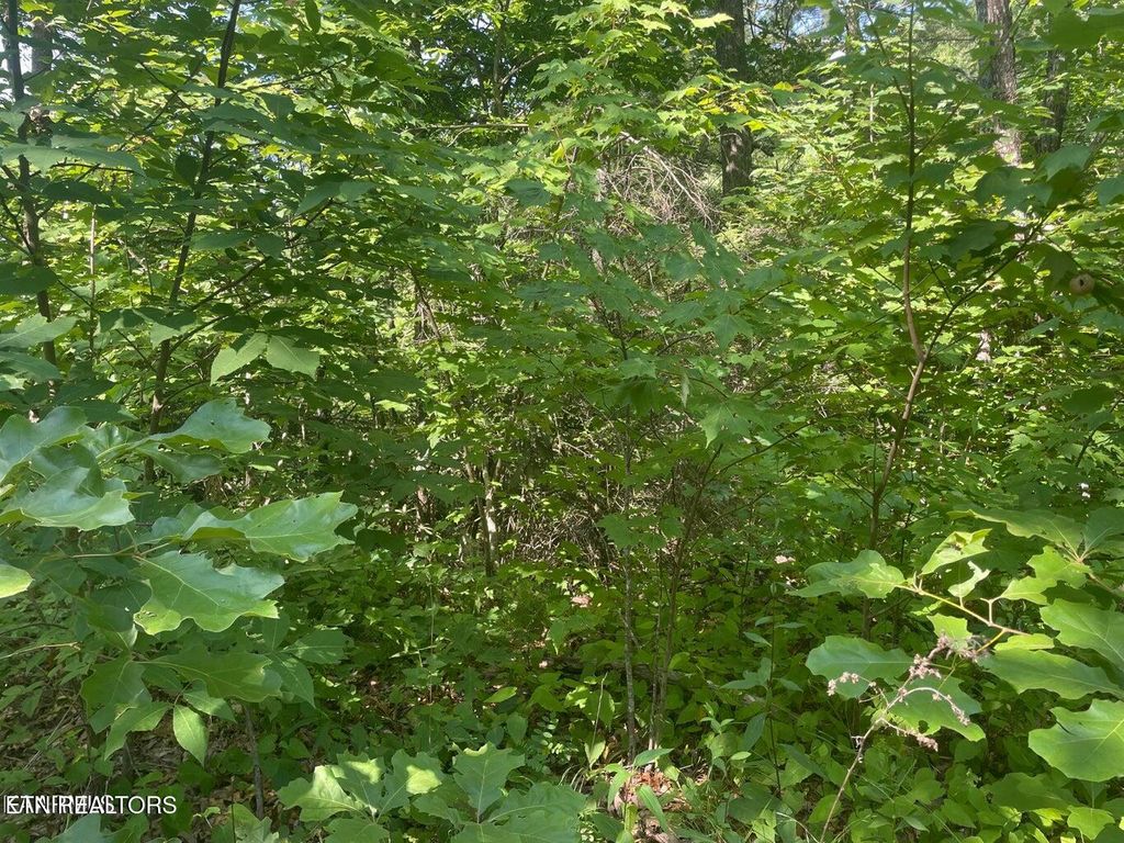 Photo of 69 Sycamore St, Sevierville, TN 37876 (MLS # 1285908)