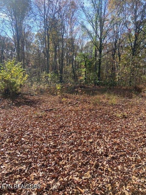 Photo of 103 Howard Road, Decatur, TN 37322 (MLS # 1283142)
