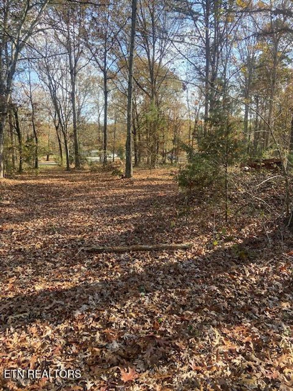Photo of 103 Howard Road, Decatur, TN 37322 (MLS # 1283142)