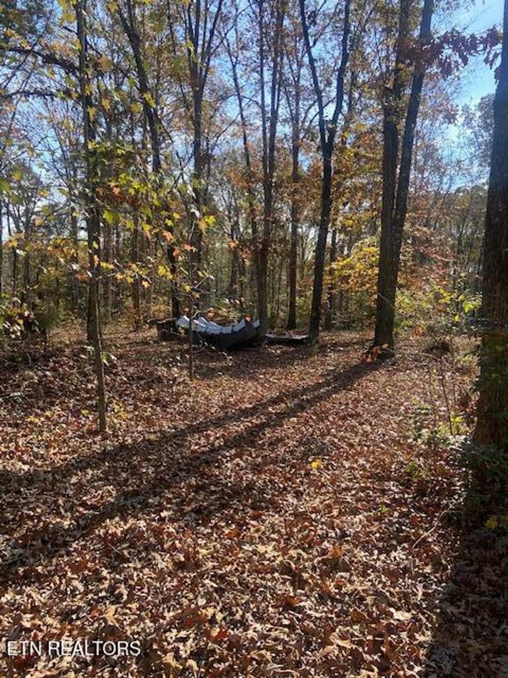 Photo of 103 Howard Road, Decatur, TN 37322 (MLS # 1283142)