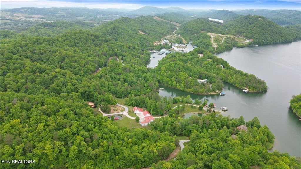 Photo of LOT 16 Mountain Shores Rd, New Tazewell, TN 37825 (MLS # 1334485)