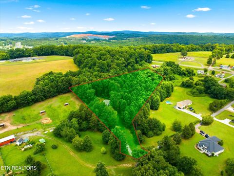 Tiny photo for 140 County Road 124, Athens, TN 37303 (MLS # 1348224)