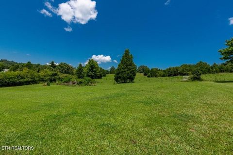 Tiny photo for 501 Pin Hook Rd, Spring City, TN 37381 (MLS # 1326298)