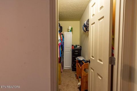 Tiny photo for 501 Pin Hook Rd, Spring City, TN 37381 (MLS # 1326298)