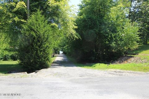 Tiny photo for 501 Pin Hook Rd, Spring City, TN 37381 (MLS # 1326298)