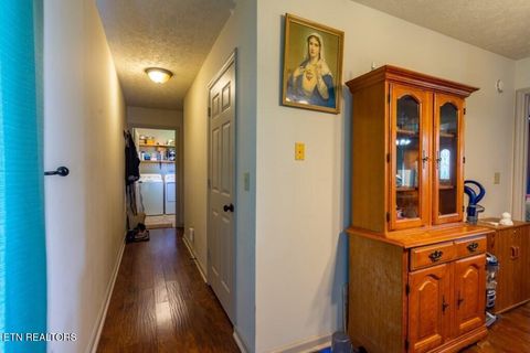Tiny photo for 501 Pin Hook Rd, Spring City, TN 37381 (MLS # 1326298)
