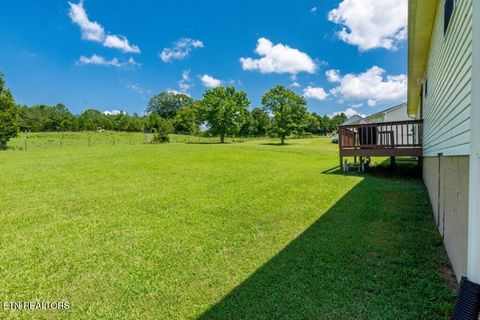 Tiny photo for 501 Pin Hook Rd, Spring City, TN 37381 (MLS # 1326298)