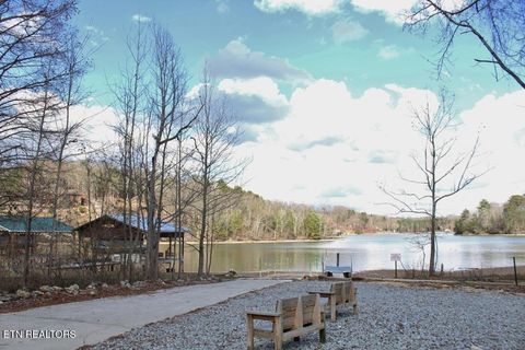 Tiny photo for 501 Pin Hook Rd, Spring City, TN 37381 (MLS # 1326298)