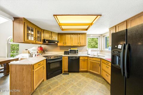Tiny photo for 997 Lake Ridge Drive, Dandridge, TN 37725 (MLS # 1340067)