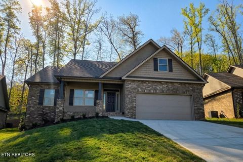 Photo of 1354 Kenzi Rose Lane, Knoxville, TN 37918 (MLS # 1337067)