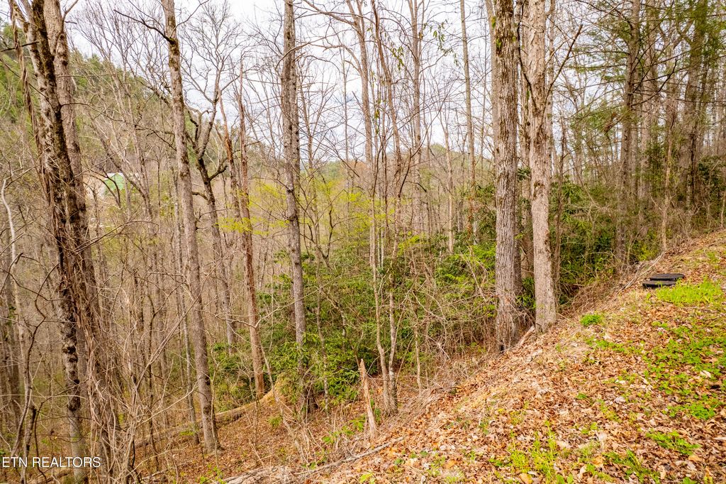 Photo of 483 Chetola Trail, Townsend, TN 37882 (MLS # 1309240)