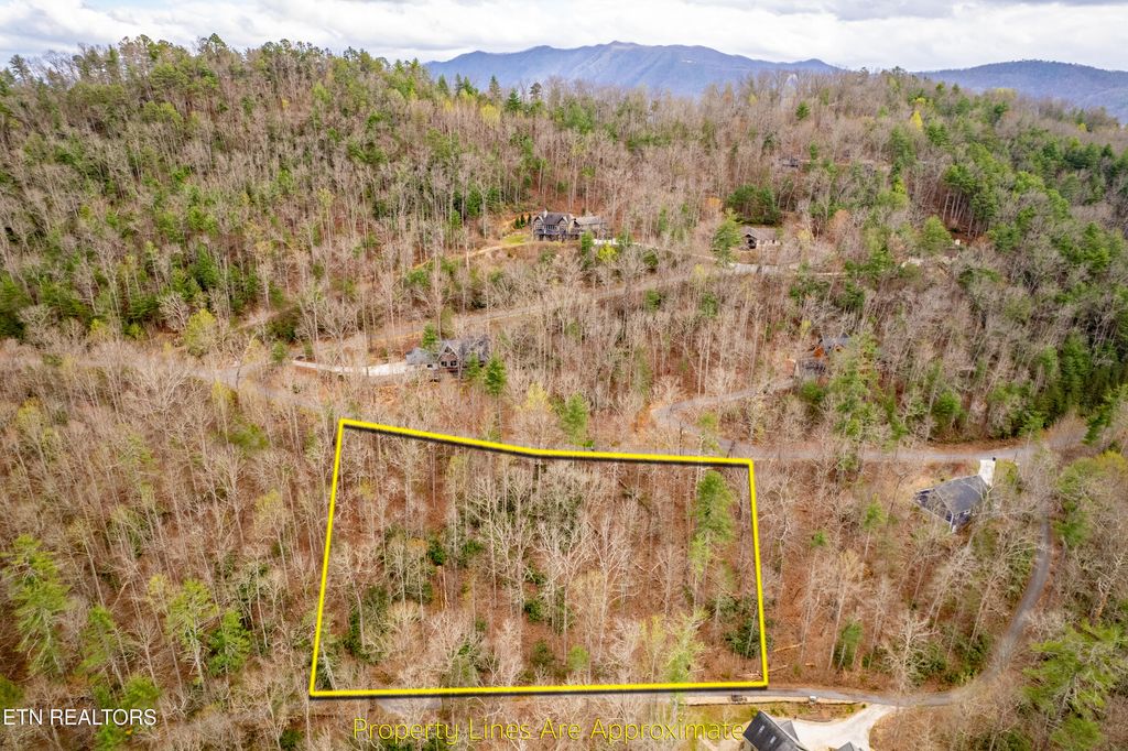 Photo of 483 Chetola Trail, Townsend, TN 37882 (MLS # 1309240)