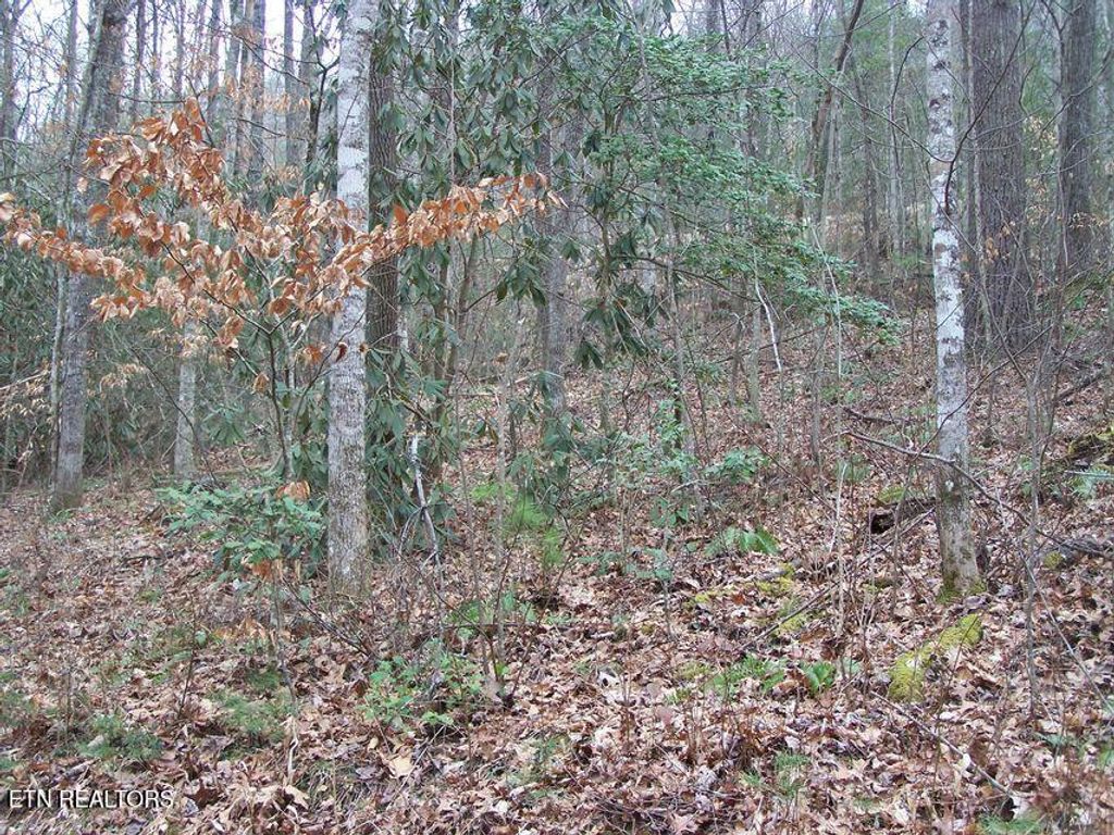Photo of 483 Chetola Trail, Townsend, TN 37882 (MLS # 1309240)
