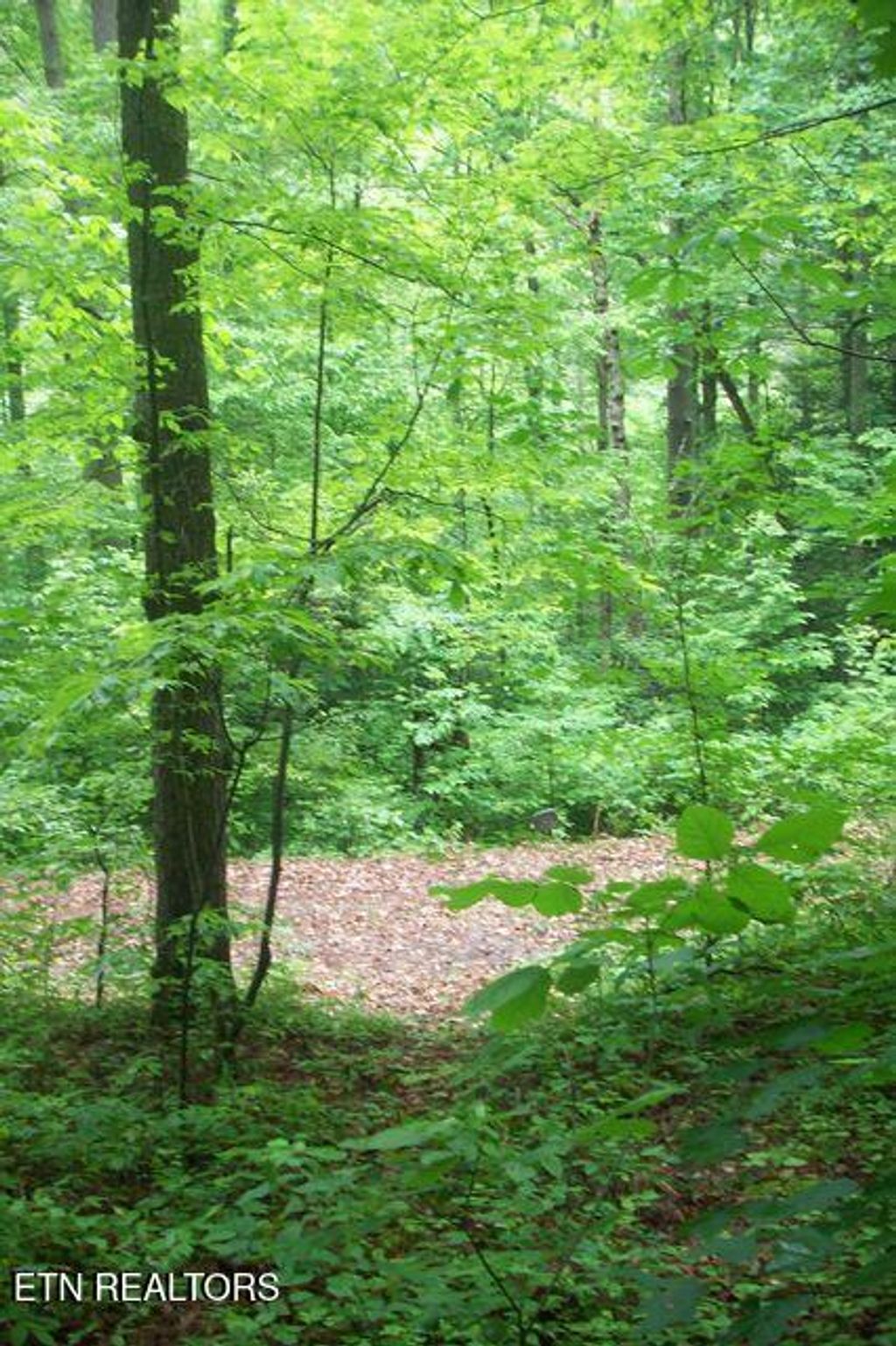 Photo of 483 Chetola Trail, Townsend, TN 37882 (MLS # 1309240)