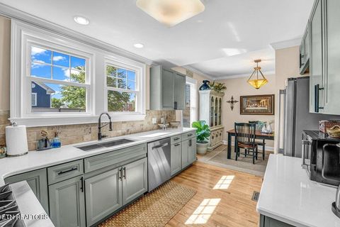 Tiny photo for 600 E 2nd North St, Morristown, TN 37814 (MLS # 1338262)
