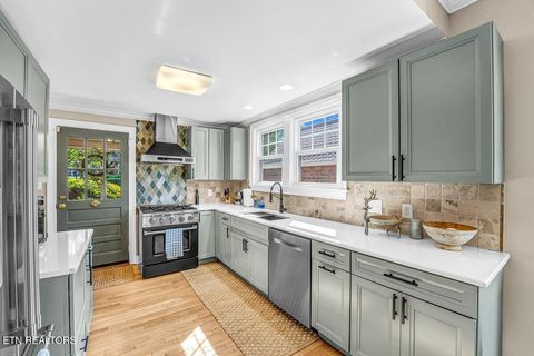 Tiny photo for 600 E 2nd North St, Morristown, TN 37814 (MLS # 1338262)