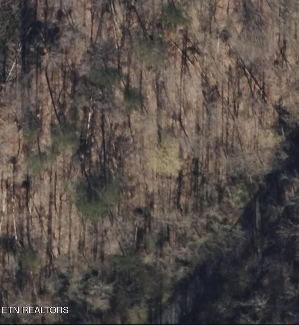 Photo of 139 Collins Gap Rd, Heiskell, TN 37754 (MLS # 1304804)