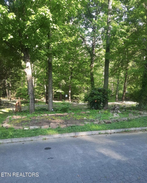 Tiny photo for Claremont Rd Rd, Oak Ridge, TN 37830 (MLS # 1360096)
