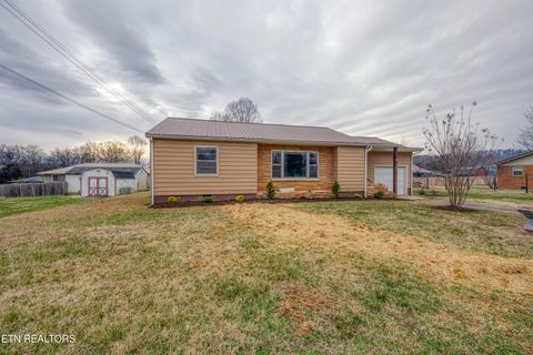 Tiny photo for 1111 Banner St, Seymour, TN 37865 (MLS # 1325600)