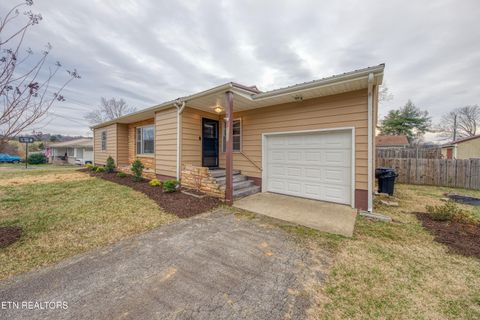 Tiny photo for 1111 Banner St, Seymour, TN 37865 (MLS # 1325600)