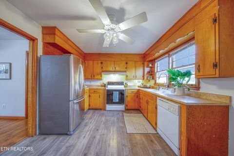 Tiny photo for 1111 Banner St, Seymour, TN 37865 (MLS # 1325600)