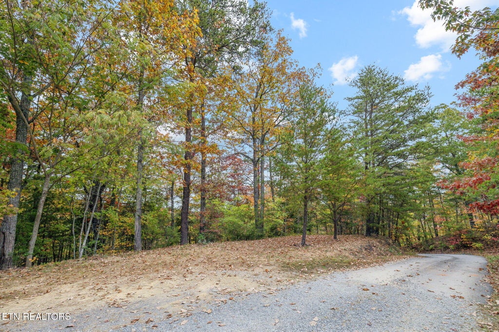 Photo of Cove Creek Way, Sevierville, TN 37862 (MLS # 1360687)