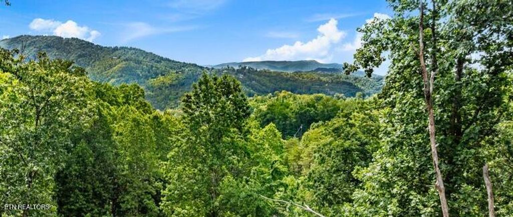 Photo of 1119 Kings Ridge Rd, Gatlinburg, TN 37738 (MLS # 1331829)