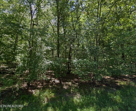 Photo of 9108 Hondo Drive, Crossville, TN 38572 (MLS # 1333013)