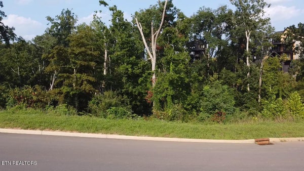 REDMOND WAY, SEVIERVILLE, TN 37876 - Image f90d1eae1fbbea905f6fcb3eb4d7c03a/1089800359
