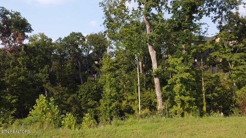 Tiny photo for 143 Reedmont Way, Sevierville, TN 37876 (MLS # 1351928)