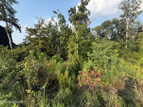 Tiny photo for 143 Reedmont Way, Sevierville, TN 37876 (MLS # 1351928)
