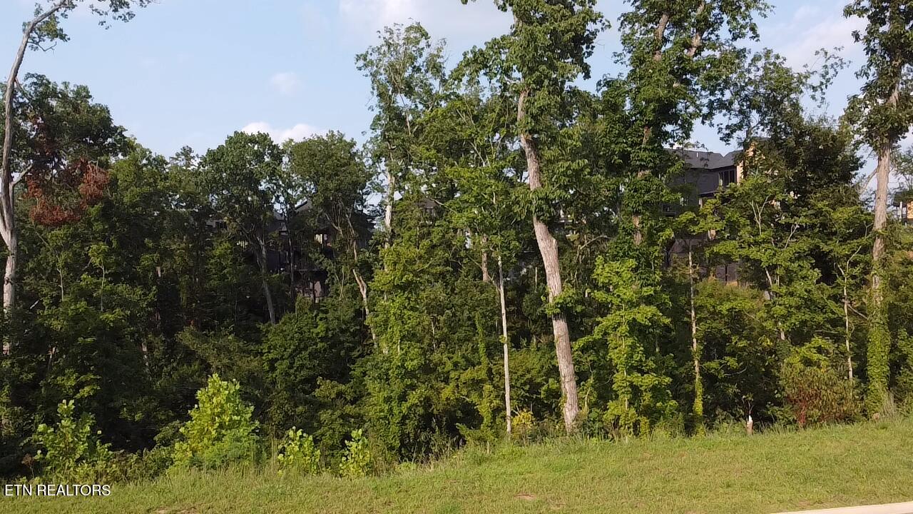 Lot 143 Reedmont Way