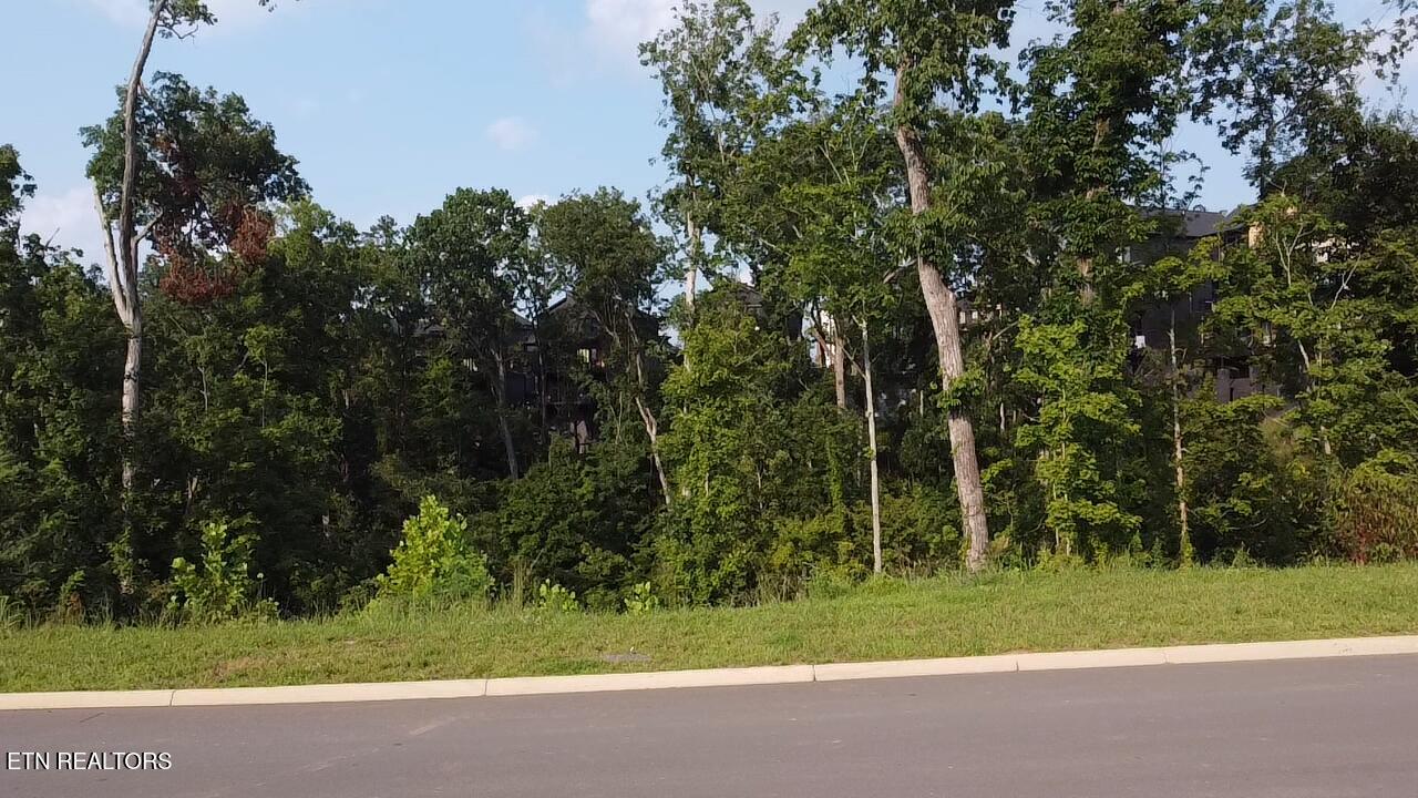 Lot 143 Reedmont Way