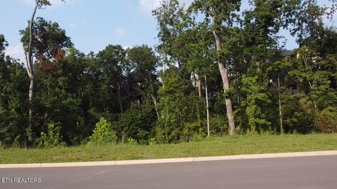 Tiny photo for 143 Reedmont Way, Sevierville, TN 37876 (MLS # 1351928)