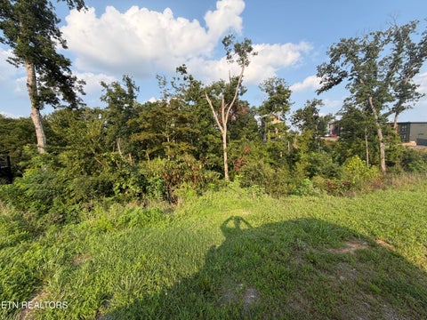 Tiny photo for 143 Reedmont Way, Sevierville, TN 37876 (MLS # 1351928)