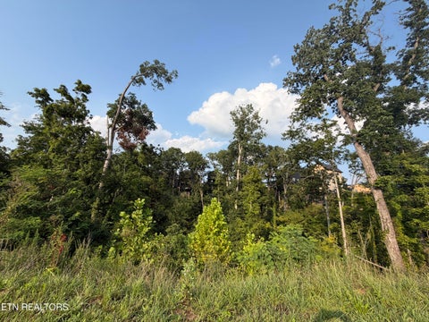 Tiny photo for 143 Reedmont Way, Sevierville, TN 37876 (MLS # 1351928)