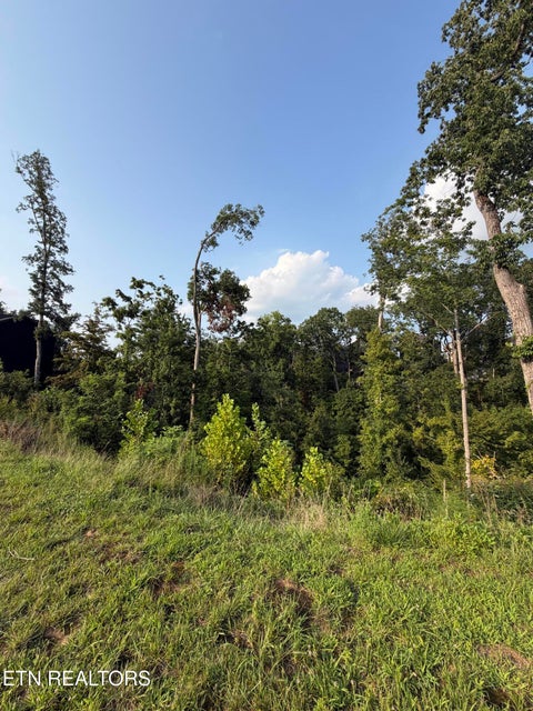 Tiny photo for 143 Reedmont Way, Sevierville, TN 37876 (MLS # 1351928)