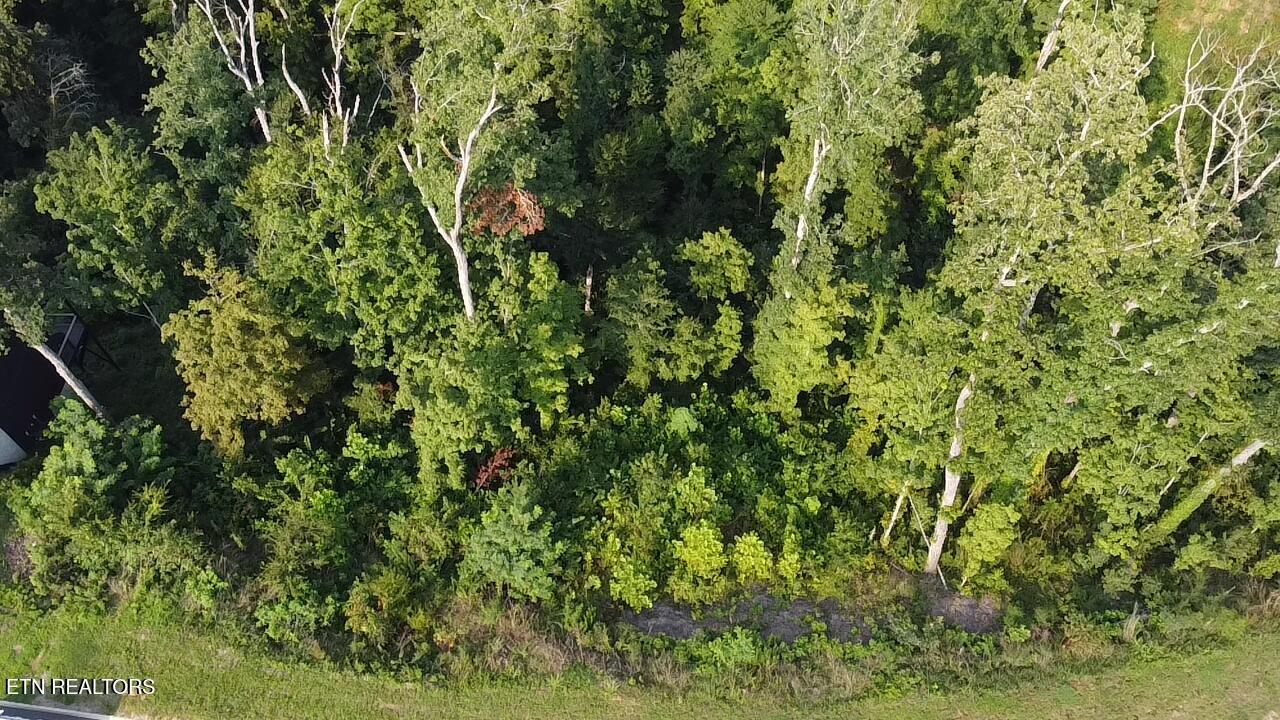 Lot 143 Reedmont Way