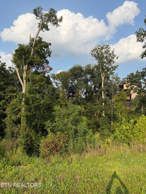 Tiny photo for 143 Reedmont Way, Sevierville, TN 37876 (MLS # 1351928)
