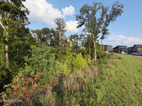 Tiny photo for 143 Reedmont Way, Sevierville, TN 37876 (MLS # 1351928)