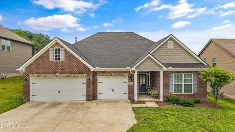Photo of 625 Branchwood Lane, Maryville, TN 37801 (MLS # 1346726)