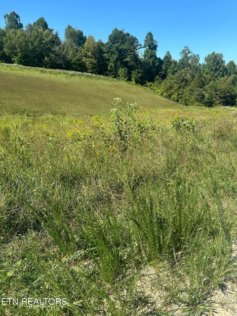 Tiny photo for Bob Wright Bob Wright Rd, Lot 32, Maynardville, TN 37807 (MLS # 1287027)