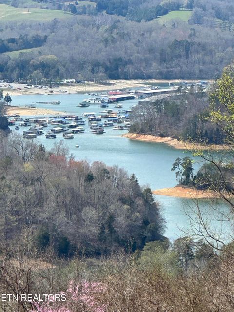 Tiny photo for Bob Wright Bob Wright Rd, Lot 32, Maynardville, TN 37807 (MLS # 1287027)