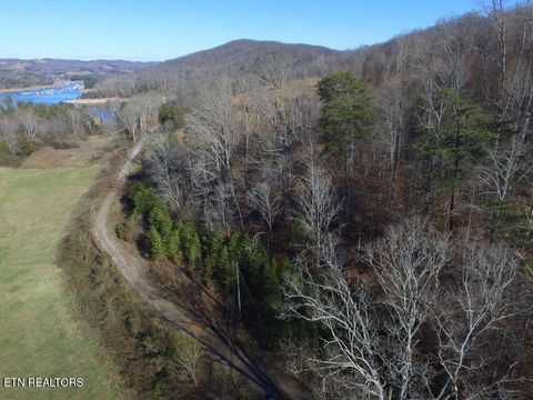 Tiny photo for Bob Wright Bob Wright Rd, Lot 32, Maynardville, TN 37807 (MLS # 1287027)