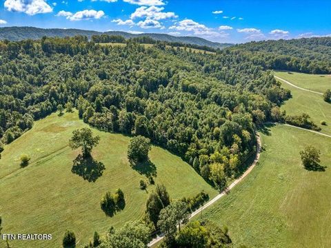 Tiny photo for Bob Wright Bob Wright Rd, Lot 32, Maynardville, TN 37807 (MLS # 1287027)