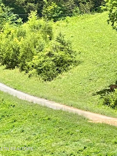 Tiny photo for Bob Wright Bob Wright Rd, Lot 32, Maynardville, TN 37807 (MLS # 1287027)