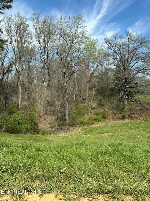 Tiny photo for Bob Wright Bob Wright Rd, Lot 32, Maynardville, TN 37807 (MLS # 1287027)