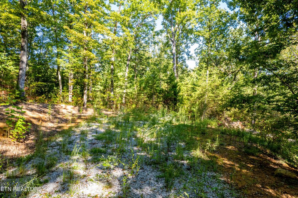 Photo of 105 Warriors Passage Drive, Tellico Plains, TN 37385 (MLS # 1316038)