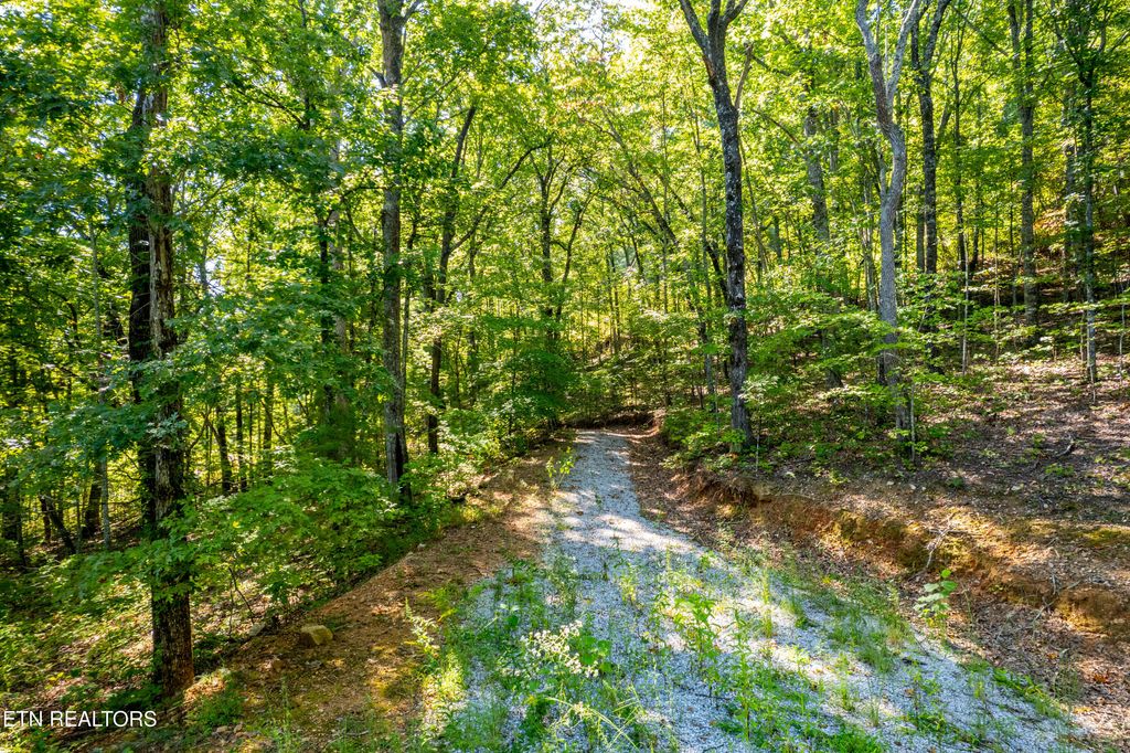 Photo of 105 Warriors Passage Drive, Tellico Plains, TN 37385 (MLS # 1316038)